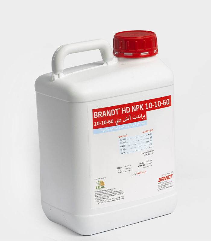 إتش دي بوتاسيوم