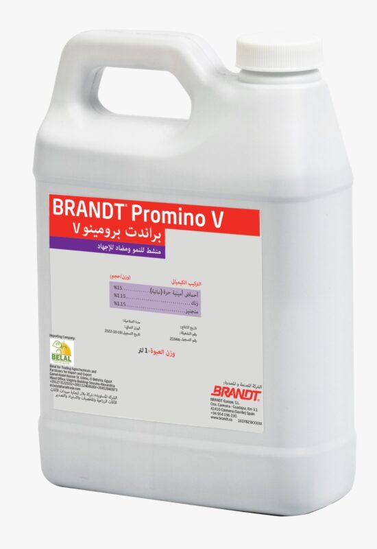 Promino v